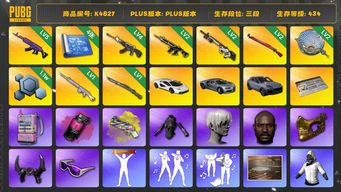 绝地求生（PUBG）[K4827]3段434级  信誉5  兰博跑车  布加迪  卡宴  5级美杜莎  4级恶魔  2级猪八戒  2级赛博  2级午夜  2级塞壬  1级玩偶  1级猛虎  烟枪烟弹  4图  黑鬼  金面  滑雪镜  9s  ningning