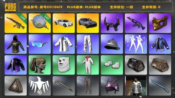 绝地求生（PUBG）编号CC15473 一段 金面 小马尾 牛角 1级塞壬平底锅 4级妖魔ACE aespa女团 布加迪威龙 布加迪普通跑车 星魂虎虎生威大礼包 保时捷 保时捷卡宴...