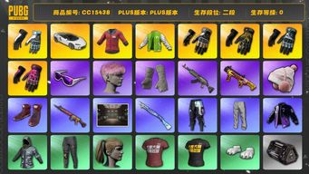 绝地求生（PUBG）CC15438 二段 迈凯伦 滑雪镜 粉头 小马尾 红东 显卡套 布朗熊大礼包 竞猜裤 大魔王 金手指 迈阿密 金叶 雪花小兔 悲喜大礼包 绷带手套 染血裤 内马尔大礼包 小战神 白色迈凯伦 北极星...