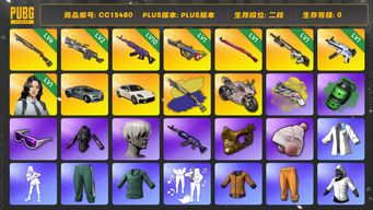 绝地求生（PUBG）CC15480 二段 1级赛博MK12 金面 滑雪镜 丸子头 小马尾 尼尔大礼包 烟雾弹 烟枪 1级爆裂弹球AUG 杜卡迪 1级无重力MP5K 1级午夜惊魂98K 2级刻耳柏洛斯M249 10级美杜莎762 白战神 黄东 发光手臂 1级瀚娜 小绿东 小叮当套装 翡翠色烟雾弹 黄色狂怒之雾 - M79 杜卡迪叛逆玫瑰 aespa女团 Pigff套装 布加迪威龙 6级烈日灼烧S1897 烈日灼烧...