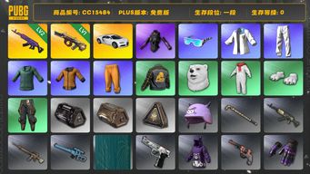 绝地求生（PUBG）CC15484 一段 拉风龙套装 2级美杜莎762 1级弥诺陶洛斯AUG 黄东 发光手臂 小绿东 小叮当套装 布加迪威龙 布加迪普通跑车 星魂虎虎生威大礼包...