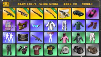 绝地求生（PUBG）CC15479 二段 7级青龙762 阿斯顿马丁 金面 烟雾弹 2级孙悟空M24 西游记套装 2级弥诺陶洛斯AUG 电磁包 弥诺陶洛斯AUG异色 小绿东 小战神 品红色烟雾弹 马丁SUV 1级烈日灼烧S1897 星魂虎虎生威大礼包 青海摇 人型看板...