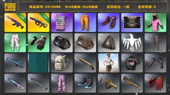 绝地求生（PUBG）CC15486 一段 5级美杜莎762 1级弥诺陶洛斯AUG 电磁包 小叮当套装...