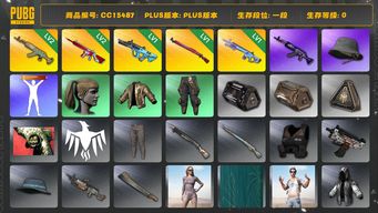 绝地求生（PUBG）CC15487 一段 2级水麒麟 小马尾 2级无信号M416 拉风龙套装 1级午夜惊魂98K 1级魔咒MK12 1级权志龙AUG 人型看板...