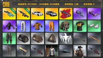 绝地求生（PUBG）CC15481 二段 滑雪镜 小马尾 烟枪 拉风龙套装 黄东 发光手臂 小叮当套装 紫色魔法迷雾 - M79 布加迪威龙 布加迪普通跑车 权志龙AUG异色 4级权志龙AUG 保时捷 保时捷911 3级时空使者M416...