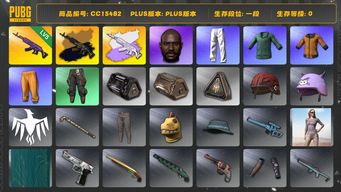 绝地求生（PUBG）CC15482 一段 黑鬼 拉风龙套装 5级美杜莎762 黄东 美杜莎762异色 小绿东 小叮当套装 星魂虎虎生威大礼包 美杜莎金属深灰 美杜莎灰色配紫色...