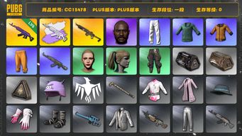 绝地求生（PUBG）CC15478 一段 黑鬼 丸子头 小马尾 拉风龙套装 6级美杜莎762 黄东 美杜莎762异色 小绿东 小叮当套装 星魂虎虎生威大礼包 美杜莎灰色配紫色...