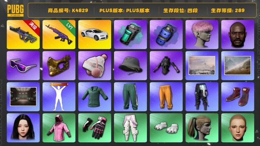 绝地求生（PUBG）[K4829]4段289级 信誉4 10级霓虹 1级美杜莎  烟弹  布加迪 粉头  黑鬼 金面 滑雪镜 渔夫帽 女团KARINA