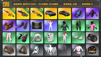 绝地求生（PUBG）编号CC15491 三段 10级南瓜M4 1级霓虹AUG 1级小兔MK12 阿斯顿马丁 金面 烟雾弹 西游记套装 发光手臂 蓝色烟雾弹 马丁普通跑车 Pigff套装 保时捷 保时捷卡宴 人型看板...