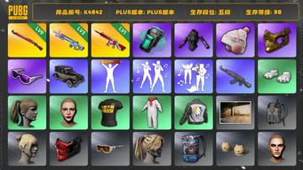 绝地求生（PUBG）[K4842]5段98级 信誉3 9级午夜 3级魔咒 1级无信号 烟弹 发光手 白熊脚 小马尾 丸子头 金面 滑雪镜5段98级 信誉3 9级午夜 3级魔咒 1级无信号 烟弹 发光手 白熊脚 小马尾 丸子头 金面 滑雪镜