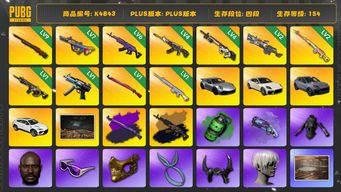 绝地求生（PUBG）4段154级 信誉4 9级孙悟空 7级爆裂 6级美杜莎+异色 4级恶魔 4级赛博 2级m249 2级德拉贡 1级时空使者1级寒蚀 1级午夜+异色  1级玩偶大炮 烟弹烟枪 白战神 黄东 黑鬼 金面 滑雪镜 9s 小马尾 丸子头 HANNI  HAERIN4段154级 信誉4 9级孙悟空 7级爆裂 6级美杜莎+异色 4级恶魔 4级赛博 2级m249 2级德拉贡 1级时空使者1级寒蚀 1级午夜+异色 