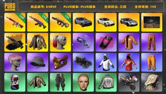 绝地求生（PUBG）[K4840]3段143级  信誉1  三保时捷  9级无信号 5级美杜莎+黑金异色  1级弥诺陶洛斯  烟枪烟弹  斗鱼夹克  小丑女  粉头 金面  