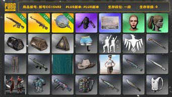 绝地求生（PUBG）编号CC15492 一段 丸子头 小马尾 1级塞壬平底锅 冬季藏匿处 1级时光SKS 发光手臂 2级妖魔ACE 小叮当套装...