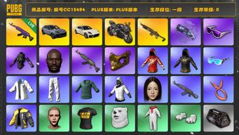 绝地求生（PUBG）编号CC15494 一段 黑鬼 金面 滑雪镜 丸子头 烟枪 杜卡迪 NewJeans女团 8级美杜莎762 白战神 发光手臂 小绿东 小叮当套装 杜卡迪纯净黑 紫色魔法迷雾 - M79 星魂虎虎生威大礼包 保时捷 保时捷帕拉梅拉 保时捷卡宴 MINJI...