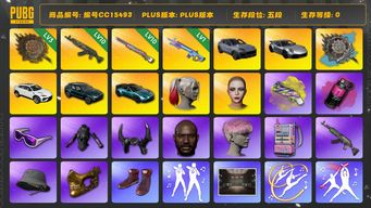 绝地求生（PUBG）编号CC15493 五段 10级青龙762 10级彩虹M24 阿斯顿马丁 小丑女 黑鬼 金面 滑雪镜 粉头 小马尾 街头霸王套装 竞猜裤 烟雾弹 烟枪 3级唐三藏平底锅 唐三藏 西游记套装 兰博基尼 拉风龙套装 牛角 染血裤 电磁包 武器神龛 陈列室 1级魔咒MK12 白战神 黄东 发光手臂 唐三藏异色 小绿东 阿狸大礼包 小战神 品红色烟雾弹 黄色狂怒之雾 - M79 马丁敞篷跑车 马丁S...