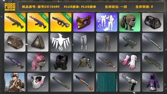 绝地求生（PUBG）编号CC15490 一段 3级青龙762 金面 小马尾 1级美杜莎762 1级弥诺陶洛斯AUG 阿狸大礼包...