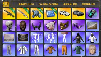 绝地求生（PUBG）[K4841]5段500级 信誉3 9级青龙 7级玩偶 烟弹 兰博SUV 保时捷卡宴 白战神 悲喜 黄东 绿东 萨芬裤 白熊脚 尼尔9s 小马尾 丸子头 女团丹尼尔 黑鬼 牛角 金面 滑雪镜