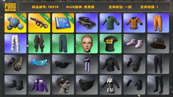 绝地求生（PUBG）[TB316]1段1级（免费版）4级弥诺陶洛斯AUG,拉风龙套装,黄东,萨芬裤,小绿东,小叮当套装,星魂虎虎生威大礼包