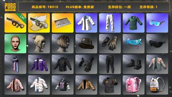 绝地求生（PUBG）[TB315]1段1级（免费版）1级弥诺陶洛斯AUG,弥诺陶洛斯AUG异色,aespa女团,拉风龙套装,小绿东,小叮当套装,星魂虎虎生威大礼包,丸子头