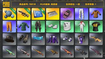 绝地求生（PUBG）[TB318]1段1级（免费版）2级弥诺陶洛斯AUG,烟雾弹,粉色烟雾弹,拉风龙套装,黄东,小绿东,小叮当套装,星魂虎虎生威大礼包