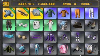 绝地求生（PUBG）[TB314]1段1级（免费版）3级弥诺陶洛斯AUG,2级塞壬平底锅,拉风龙套装,黄东,小绿东,小叮当套装,星魂虎虎生威大礼包