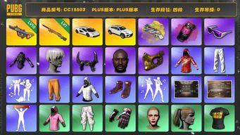 绝地求生（PUBG）CC15503 四段 黑鬼 金面 滑雪镜 丸子头 小马尾 尼尔大礼包 烟雾弹 烟枪 10级爆裂弹球AUG 兰博基尼 拉风龙套装 牛角 陈列室 白战神 发光手臂 阿狸大礼包 品红色烟雾弹 黄色狂怒之雾 - M79 兰博SUV 兰博跑车 星魂虎虎生威大礼包 1级夜曲M24 9S 青海摇 人型看板...