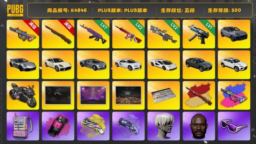 绝地求生（PUBG）[K4846]5段500级 信誉4 三保时捷 三兰博 双布加迪 杜卡迪 10级爆裂+异色 10级孙悟空+异色 7级美杜莎 2级无信号 2级大菠萝 1级寒蚀 烟弹烟枪 发型9s 三代全套女团  黑鬼 金面 滑雪镜 金面 牛角 