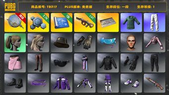 绝地求生（PUBG）[TB317]1段1级（免费版）1级弥诺陶洛斯AUG,3级塞壬平底锅,拉风龙套装,小绿东,小叮当套装,星魂虎虎生威大礼包,小马尾