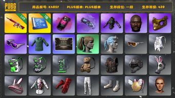 绝地求生（PUBG）[K4857]1段439级 信誉3 9级无信号 烟弹烟枪 绿东 小马尾 黑鬼 金面 滑雪镜