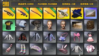 绝地求生（PUBG）[K4855]2段418级 信誉2 6级牛头+异色 2级美杜莎 1级午夜 1级夜曲+异色