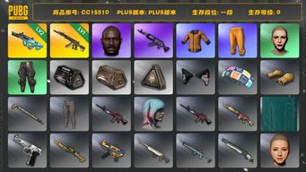 绝地求生（PUBG）CC15510 一段 黑鬼 丸子头 拉风龙套装 黄东 1级妖魔ACE 小叮当套装 2级权志龙AUG...