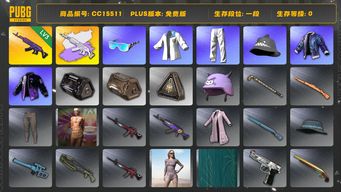 绝地求生（PUBG）CC15511 一段 3级美杜莎762 美杜莎762异色 小叮当套装 星魂虎虎生威大礼包 美杜莎灰色配紫色...