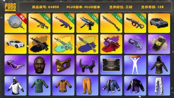 绝地求生（PUBG）[K4856]3段128级 信誉4 卡宴 布加迪 6级妖魔+异色 5级美杜莎+异色 5级寒蚀+异色 3级s1897 3级塞壬 1级牛头 烟弹烟枪 黑鬼 金面 滑雪镜 黄东 白战神 