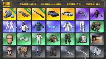 绝地求生（PUBG）[K4853]2段483级 信誉2 卡宴 布加迪 5级爆裂 3级孙悟空 烟枪 白战神 绿东 星魂套