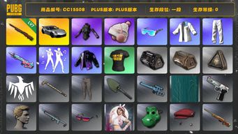 绝地求生（PUBG）CC15508 一段 7级孙悟空M24 发光手臂 星魂虎虎生威大礼包 保时捷 保时捷911 青海摇...