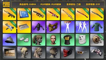 绝地求生（PUBG）[K4844]2段219级 信誉3 7级恶魔 3级弥诺陶洛斯 1级无信号 1级德拉贡 1级午夜 1级猛虎 1级无重力 发光手 绿东 白熊脚 改名卡 小马尾 丸子头 金面