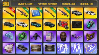 绝地求生（PUBG）[K4861]5段420级 信誉5 10级孙悟空 8级火麒麟 1级美杜莎 1级s1897 烟枪烟弹 三兰博 911 双马丁 杜卡迪 小绿东 白熊 发光手 黑鬼 金面 滑雪镜 丹尼尔 ningning 