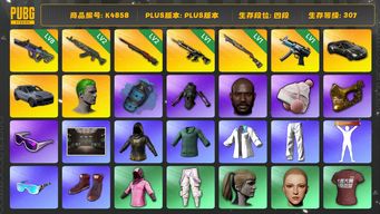 绝地求生（PUBG）[K4858]4段307级 信誉3 8级霓虹 2级青龙 2级悟空 1级八戒 1级烈日喷 1级寒蚀 烟弹 马丁跑车 保时捷卡宴 悲喜 绿东 发光手 丑男 丸子头 小马尾 黑鬼 金面 滑雪镜