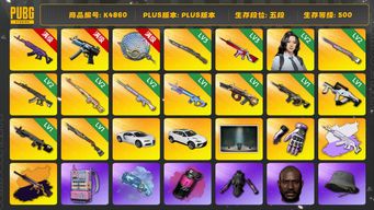 绝地求生（PUBG）[K4860]5段500级 信誉3 10级美杜莎+异色 6级寒蚀 3级猛虎 3级无信号+异色 3级塞壬 2级彩虹 2级妖魔 2级德拉贡 2级玩偶 1级魔咒 1级弥诺陶洛斯 1级时光M4 1级狗杂 1级暗影MK 1级烈日喷 烟枪烟弹 瀚娜 小黑盒 电磁包 布加迪 兰博SUV 白战神 染血裤 拉风龙 绿东 黄东 发光手 白熊脚 小马尾 丸子头 女团金冬天+ningning 黑鬼 渔夫帽 牛角 金面 滑