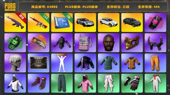 绝地求生（PUBG）[K4862]3段454级 信誉4 10级美杜莎 3级无信号 烟弹烟枪 2图纸 911 兰博suv 黄东 白战神 电磁包 黑鬼 金面 9s 
