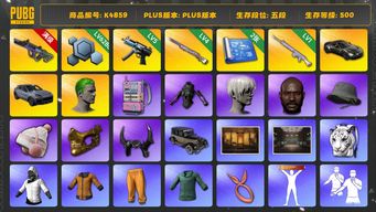 绝地求生（PUBG）[K4859]5段500级 信誉4 10级霓虹 5级寒蚀 4级彩虹 1级玩偶大炮 马丁跑车 保时捷卡宴 电磁包 白虎包 白战神 悲喜 小战神 拉风龙 黄东 绿东 萨芬裤 发光手 白熊脚 丑男 尼尔9s 丸子头 小马尾 黑鬼 渔夫帽 金面 牛角 内马尔大礼包