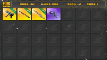 绝地求生（PUBG）MP5K寒冰，SLR成长皮肤，M24成长皮肤，紫色烟枪