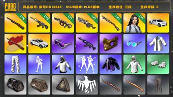 绝地求生（PUBG）编号CC15543 三段 3级恶魔ACE 金面 滑雪镜 6级孙悟空M24 兰博基尼 1级刻耳柏洛斯M249 1级弥诺陶洛斯AUG 白战神 1级瀚娜 孙悟空M24异色 兰博SUV 布加迪威龙 1级烈日灼烧S1897 布加迪普通跑车 星魂虎虎生威大礼包 青海摇...