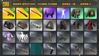 绝地求生（PUBG）编号CC15540 一段 2级恶魔ACE 小马尾 2级孙悟空M24 1级午夜惊魂98K 牛角 人型看板...