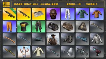 绝地求生（PUBG）编号CC15539 一段 黑鬼 拉风龙套装 黄东 小绿东 小叮当套装 星魂虎虎生威大礼包 5级时空使者M416...