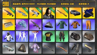 绝地求生（PUBG）编号CC15533 三段 烟枪 2级无重力MP5K 拉风龙套装 4级美杜莎762 2级魔咒MK12 白战神 黄东 小绿东 小叮当套装 Pigff套装 蓝色魔法迷雾 - M79 星魂虎虎生威大礼包 1级多利安 1级夜曲M24 夜曲M24异色 保时捷 保时捷卡宴 青海摇 人型看板...