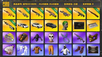 绝地求生（PUBG）编号CC15535 三段 10级火麒麟 3级齿轮大炮 5级南瓜M4 1级赛博MK12 1级恶魔ACE 小丑男 金面 丸子头 小马尾 烟雾弹 烟枪 1级孙悟空M24 3级沙悟净Mini14 1级爆裂弹球AUG 唐三藏 西游记套装 康萨斯发带 兰博基尼 拉风龙套装 染血裤 兰博大厅 武器神龛 白战神 黄东 发光手臂 小绿东 小叮当套装 阿狸大礼包 橘色烟雾弹 黄色狂怒之雾 - M79 兰博SUV...