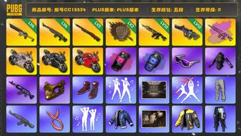 绝地求生（PUBG）编号CC15534 五段 6级玄武SKS 10级霓虹AUG 金面 滑雪镜 丸子头 小马尾 竞猜裤 烟雾弹 10级猪八戒M416 3级孙悟空M24 6级沙悟净Mini14 2级唐三藏平底锅 杜卡迪 唐三藏 西游记套装 染血裤 发光手臂 猪八戒M4异色 萨芬裤 蓝色烟雾弹 品红色烟雾弹 杜卡迪红 杜卡迪纯净黑 杜卡迪叛逆玫瑰 aespa女团 猪八戒品红色配桃色 大摆锤 青海摇 人型看板...