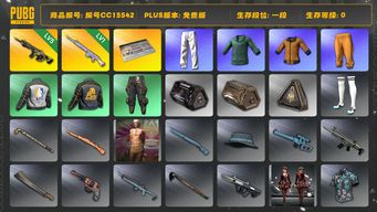 绝地求生（PUBG）编号CC15542 一段 1级玩偶大炮 拉风龙套装 黄东 小绿东 小叮当套装 星魂虎虎生威大礼包 5级时空使者M416...