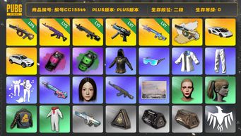 绝地求生（PUBG）编号CC15544 二段 丸子头 小马尾 烟雾弹 NewJeans女团 兰博基尼 拉风龙套装 5级美杜莎762 6级弥诺陶洛斯AUG 冬季藏匿处 1级魔咒MK12 弥诺陶洛斯AUG异色 品红色烟雾弹 翡翠色烟雾弹 兰博SUV 兰博跑车 星魂虎虎生威大礼包 1级寒蚀MP5K MINJI 1级暗影之主MK12...